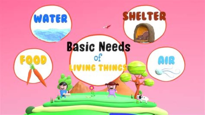 what do living things use atp for