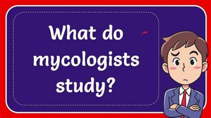 what do mycologists study - Lisbd-net.com