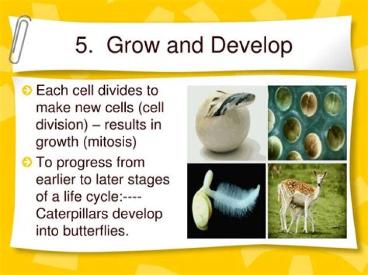 what do organisms need to grow