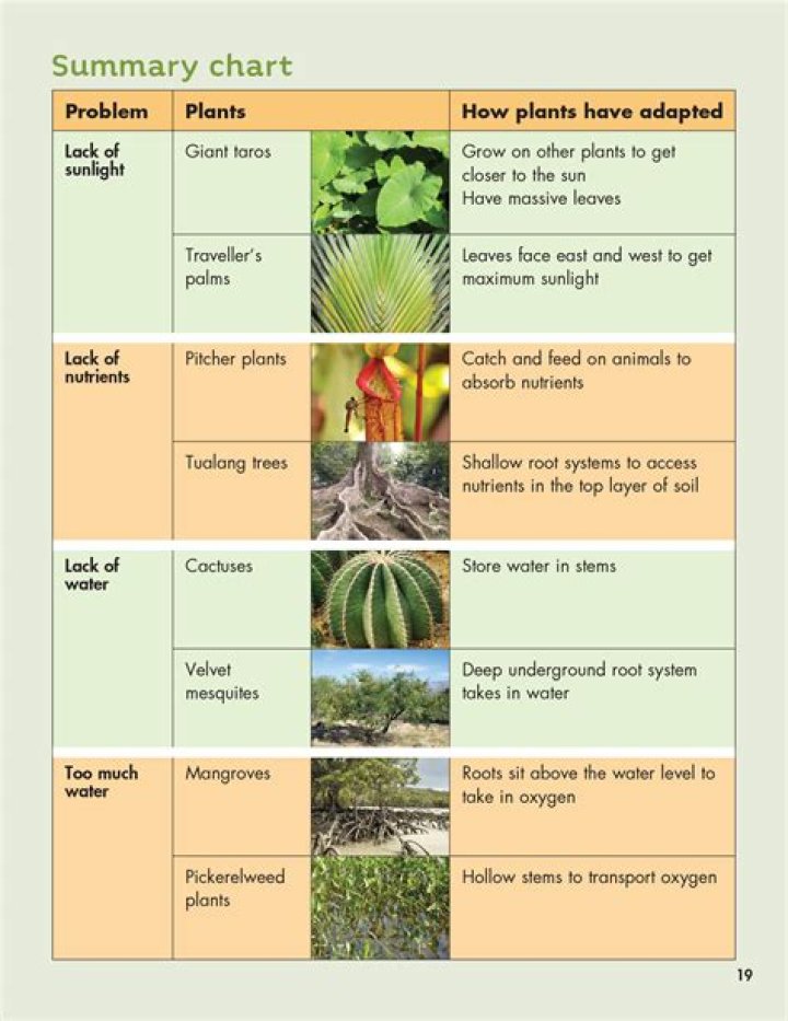 what do plants need to survive in a particular climate