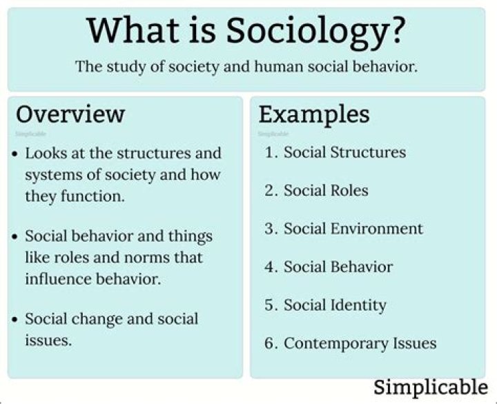 what do sociologists mean when they describe life as a stage?