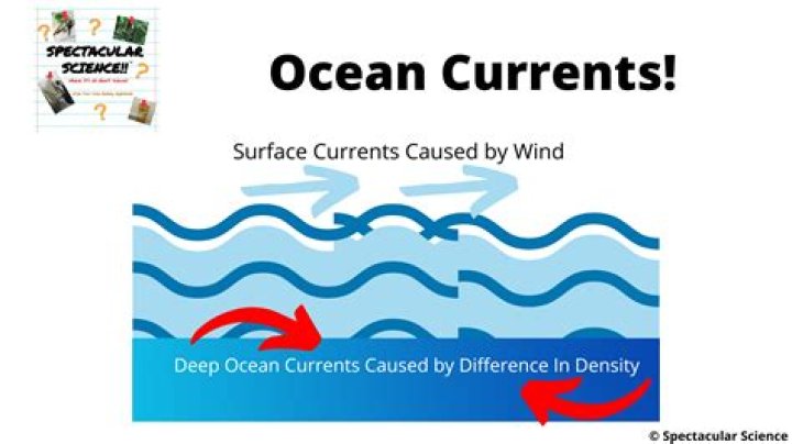 what do surface currents affect