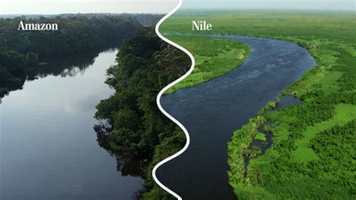 what do the mississippi and amazon rivers have in common