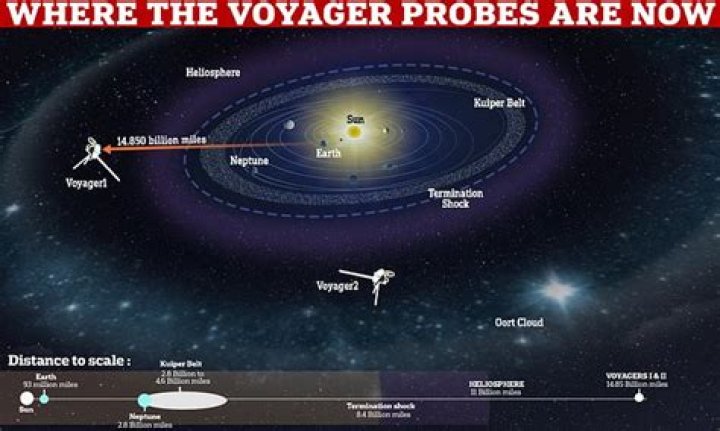 what do the voyager and pioneer probes have in common