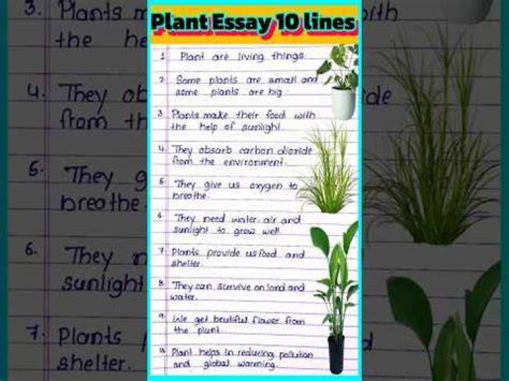 what do you call a person who studies plants