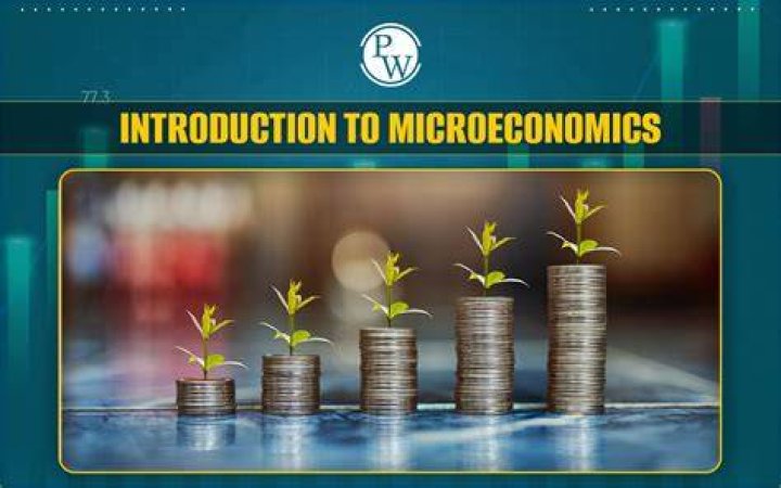 what do you learn in microeconomics