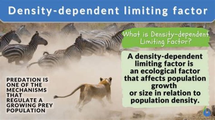 what do you think some density-independent limiting factors might be?