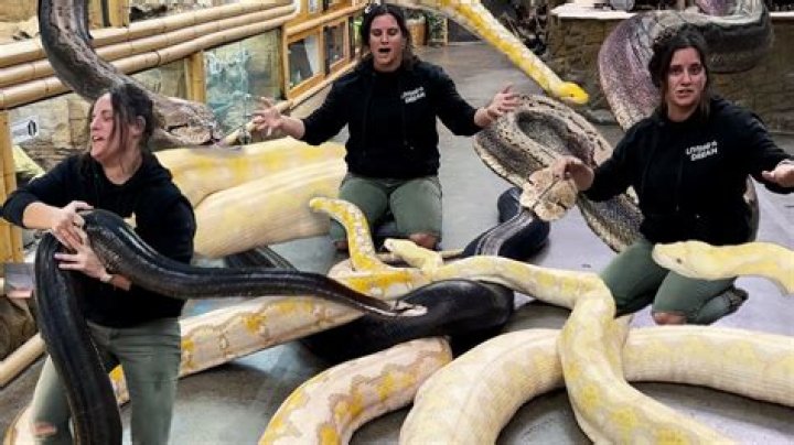 what do zoos do answer key