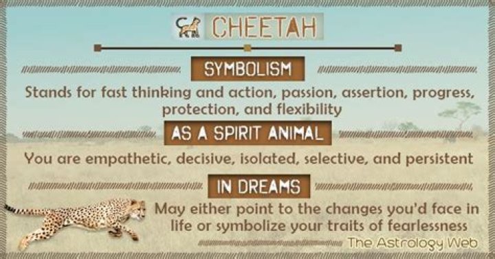 what does a cheetah mean