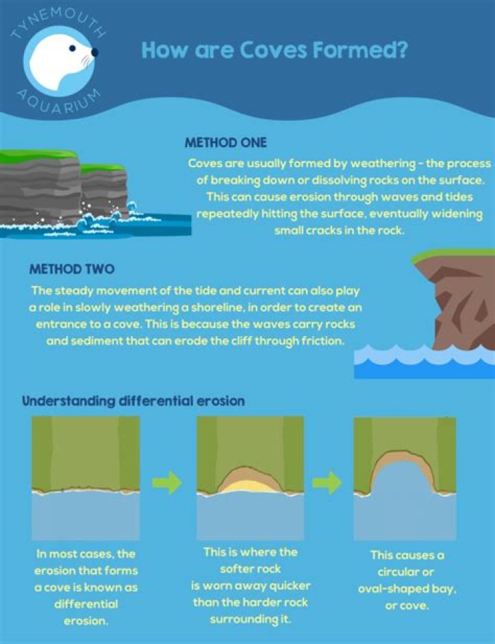what does a cove look like