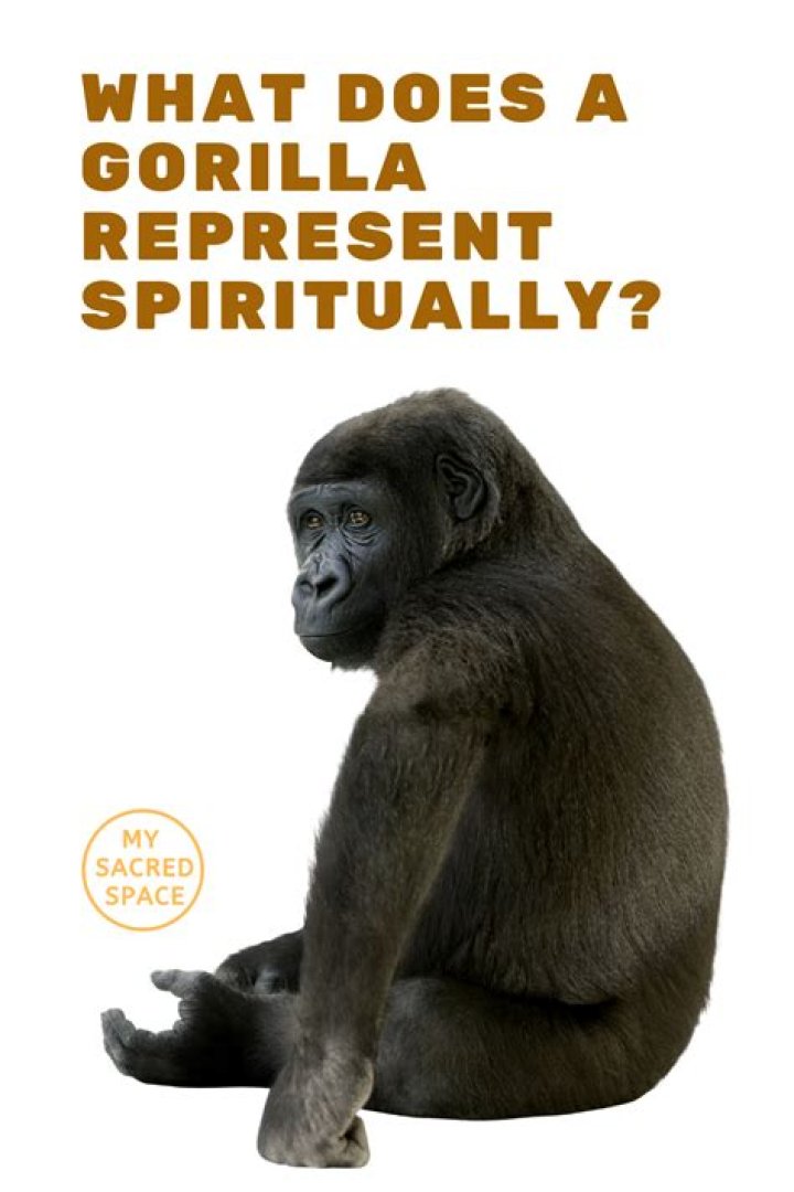 what does a gorilla represent