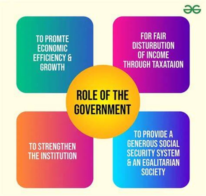 what does a government do for its citizens