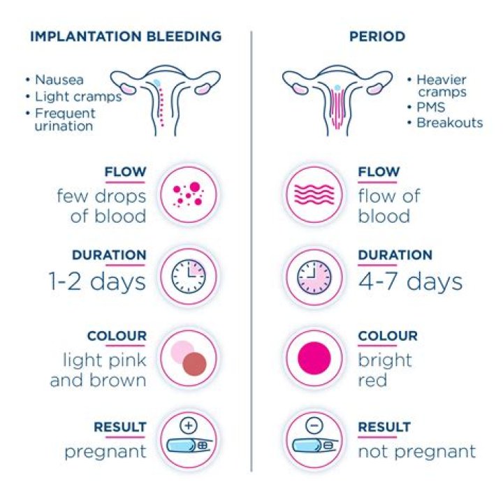 what does a period look like video
