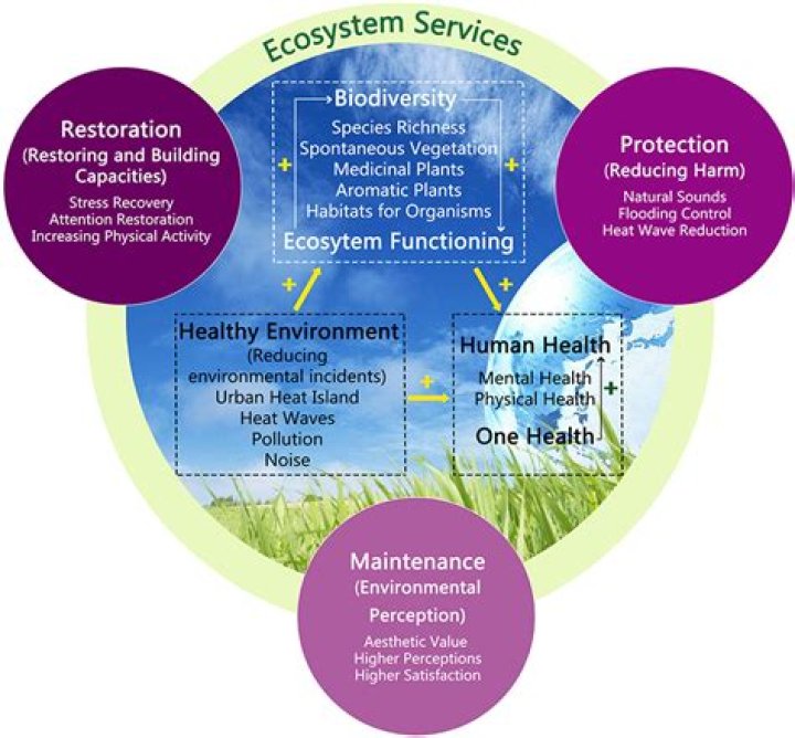 what does an indicator species tell us about the health of an ecosystem