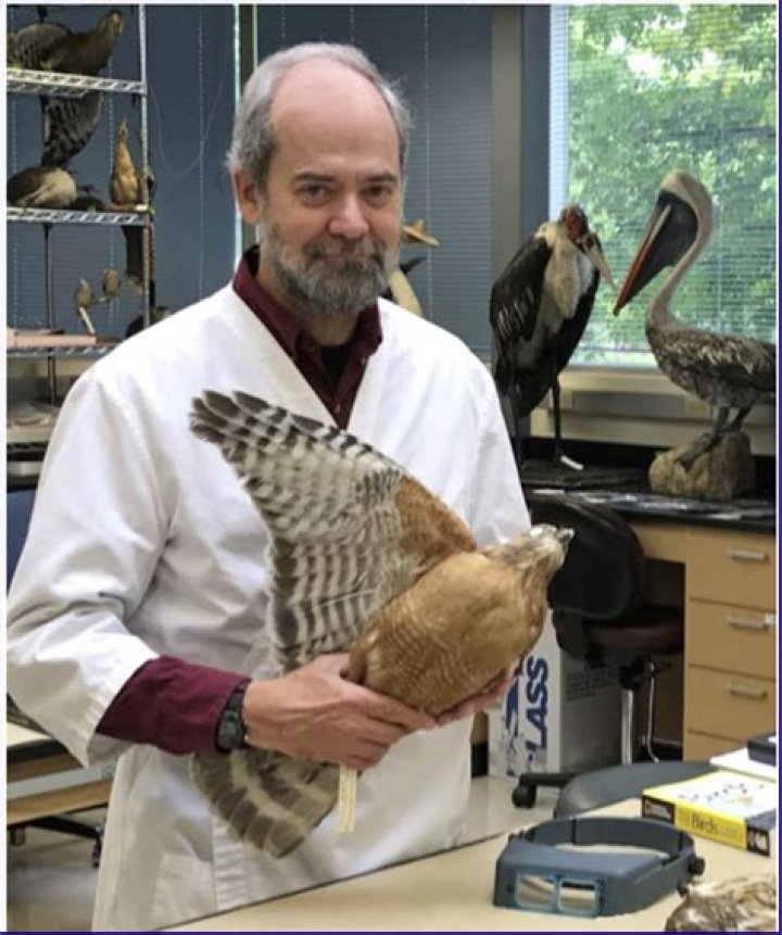 what does an ornithologist study