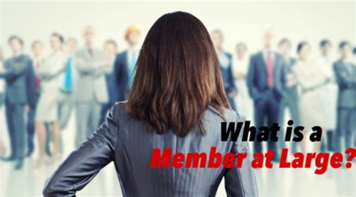 what does at large member mean