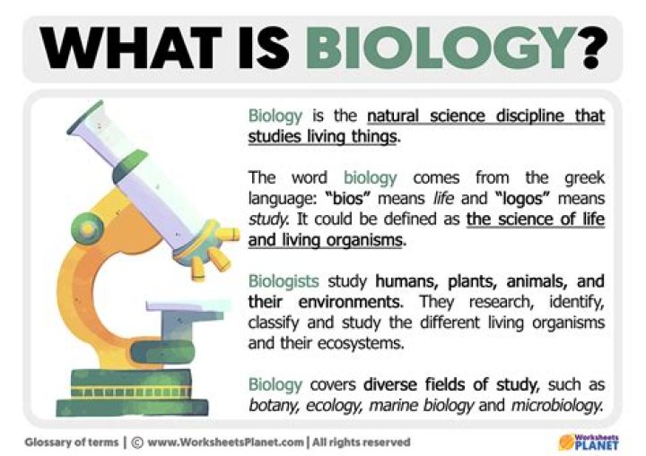 what does auto mean in biology