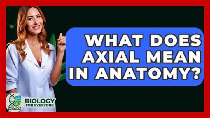 what does axial mean - Lisbd-net.com