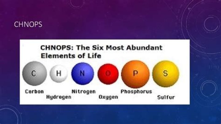 what does chnops stand for in biology