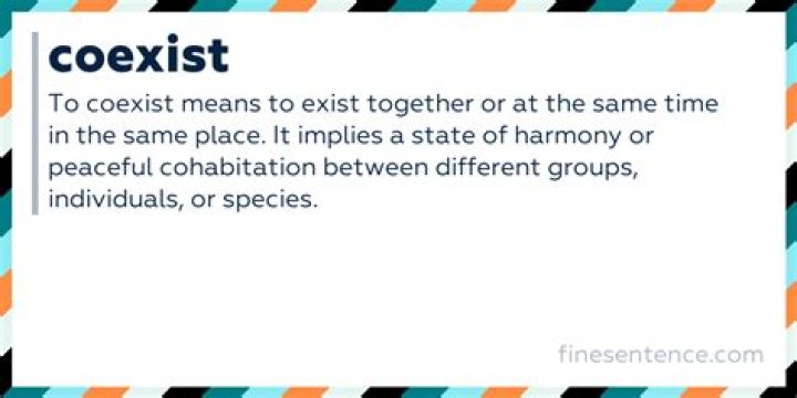 what does coexist mean in a relationship