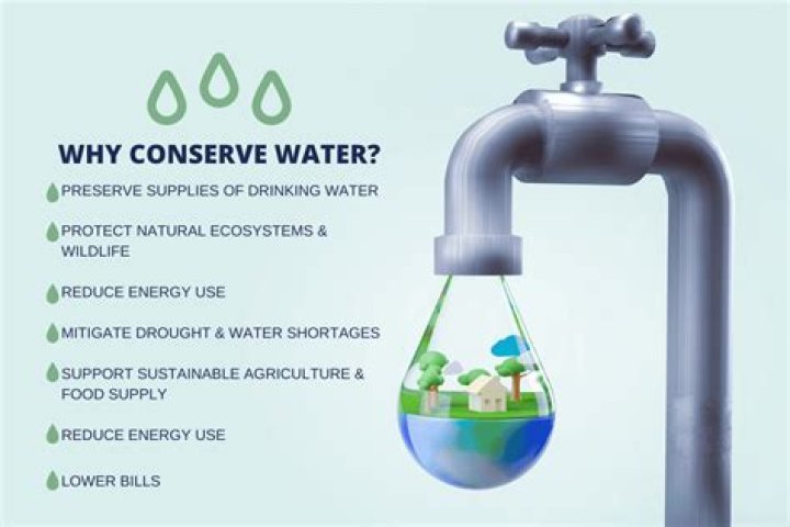 what does conserving mean - Lisbd-net.com