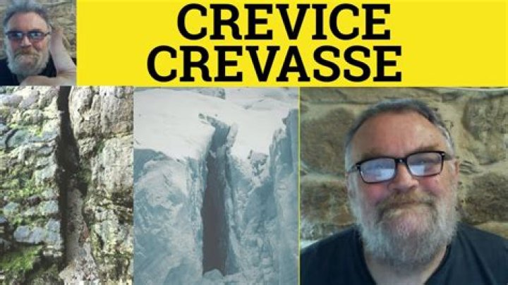 what does crevice mean - Lisbd-net.com