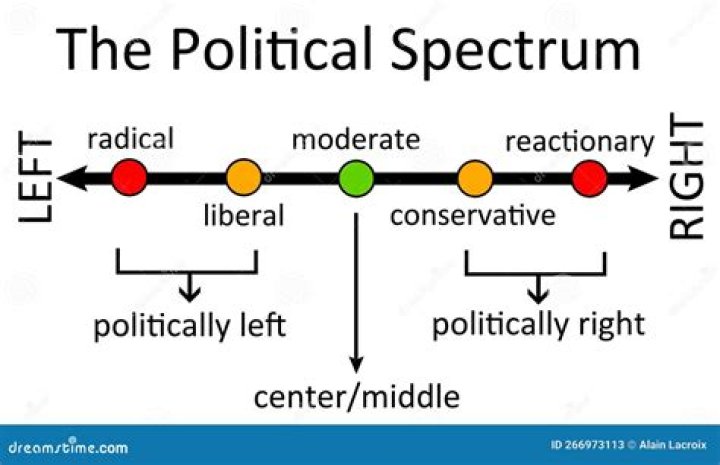 what does dead on arrival mean in politics