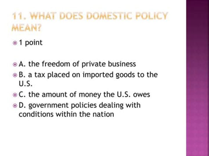 what does domestic policy mean