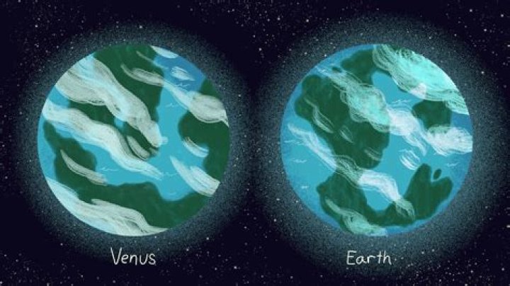 what does earth and venus have in common