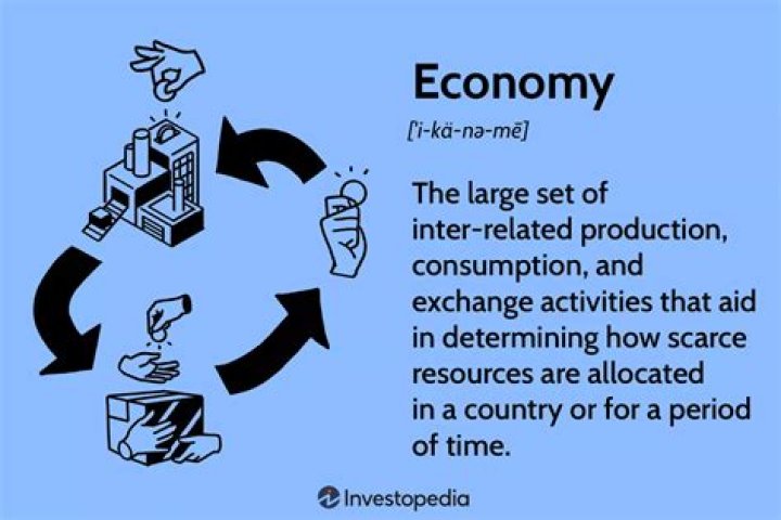 what does economy shipping mean