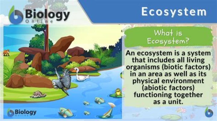 what does ecosystem diversity mean