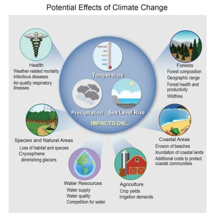 what does environmental impact mean