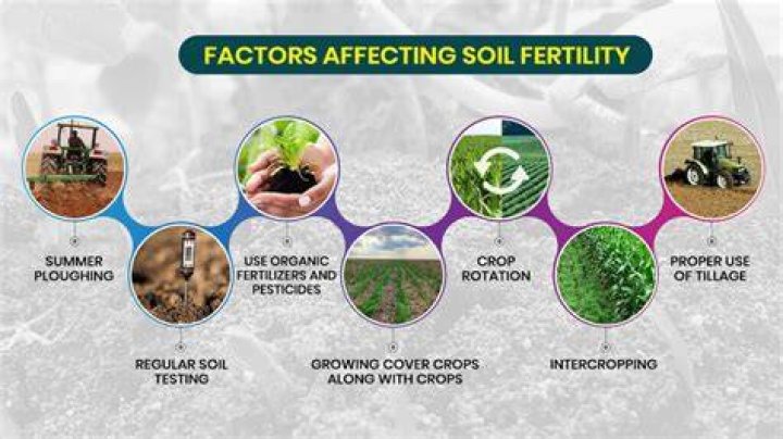 what does fertile land mean