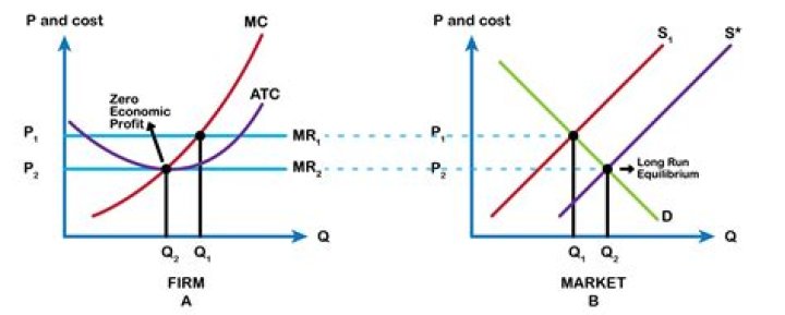 what does firm mean in economics