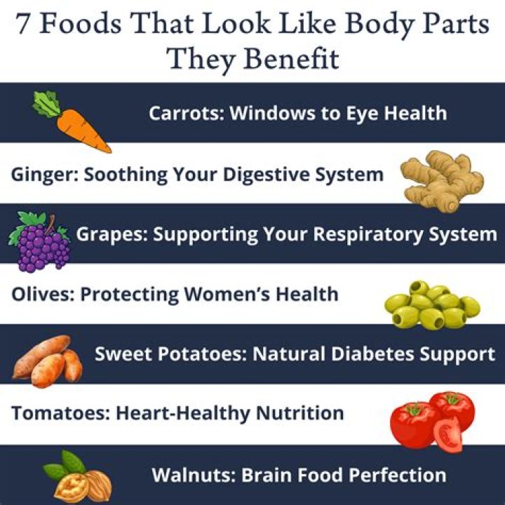 what does food provide to organisms?