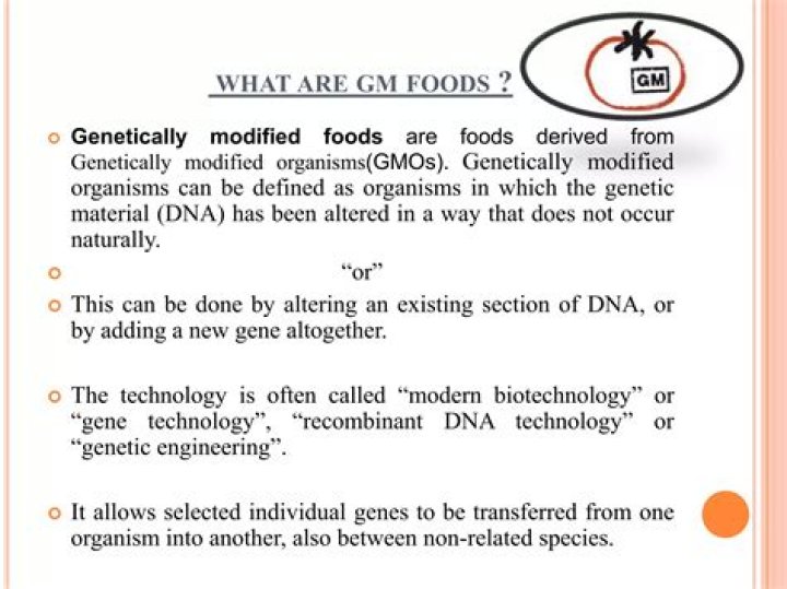 what does gmo mean in text