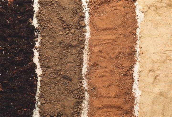 what does good soil look like
