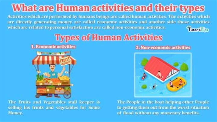 what does human activity mean