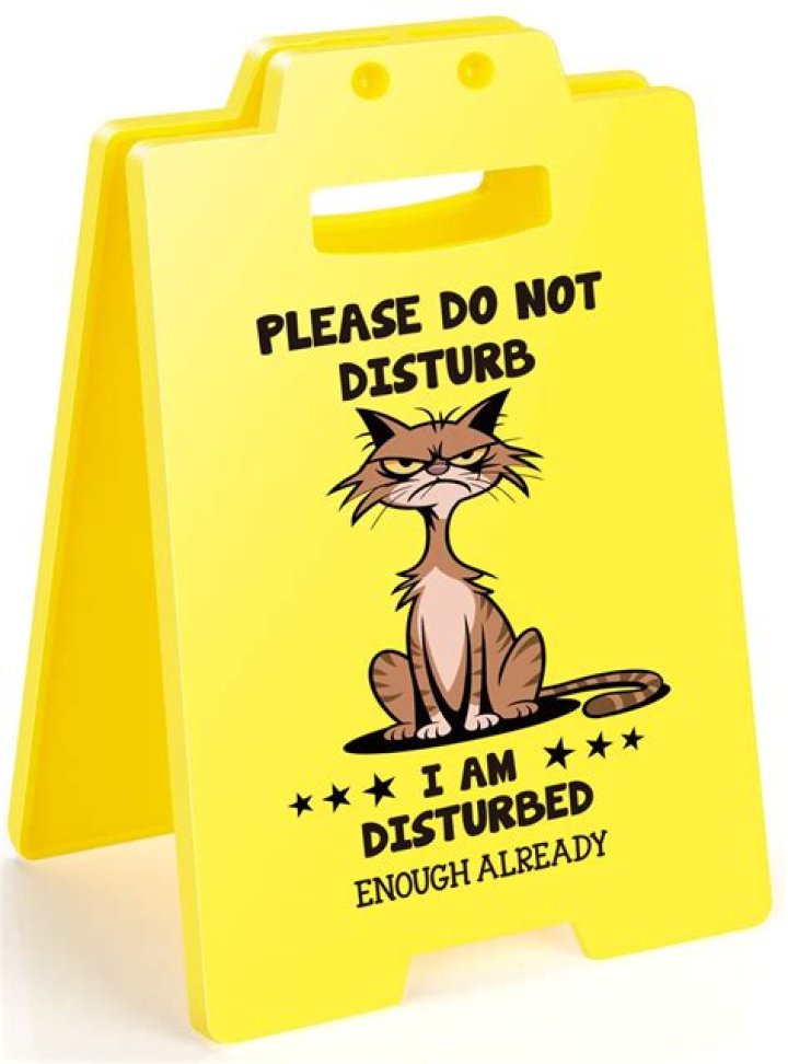 what does i am easily put out mean