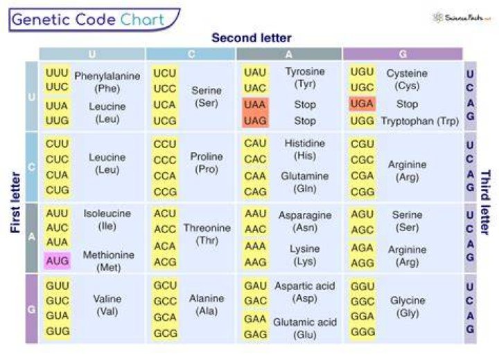 what does it mean when scientists say that living organisms share a universal genetic code?