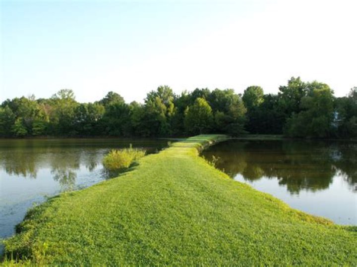 what does land bridge mean