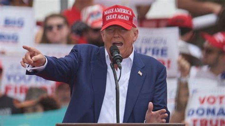what does mega mean in politics