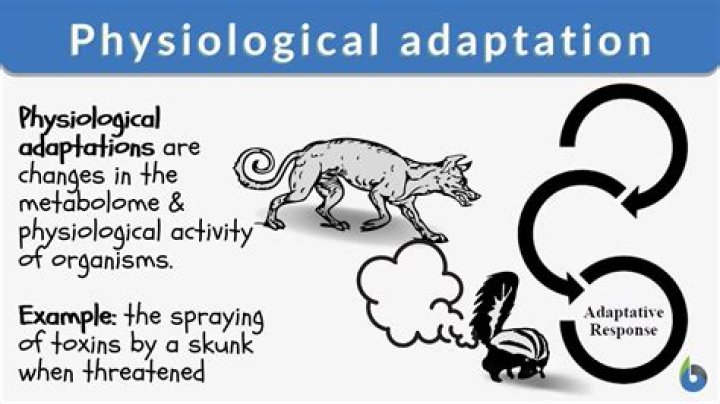 what does physiological adaptation mean