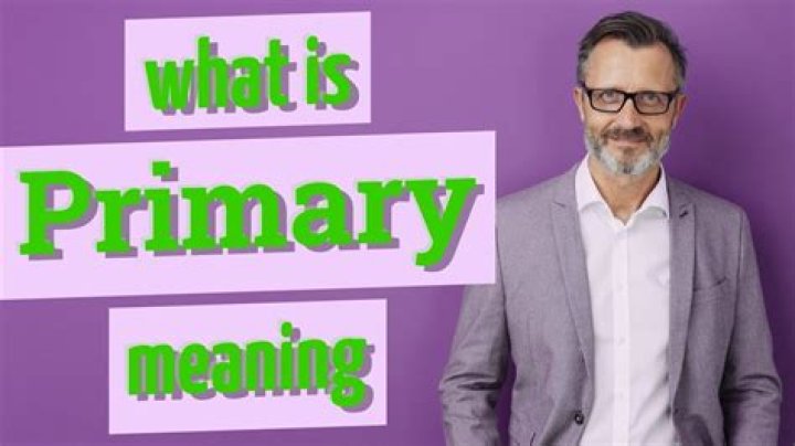 what does primarily mean - Lisbd-net.com
