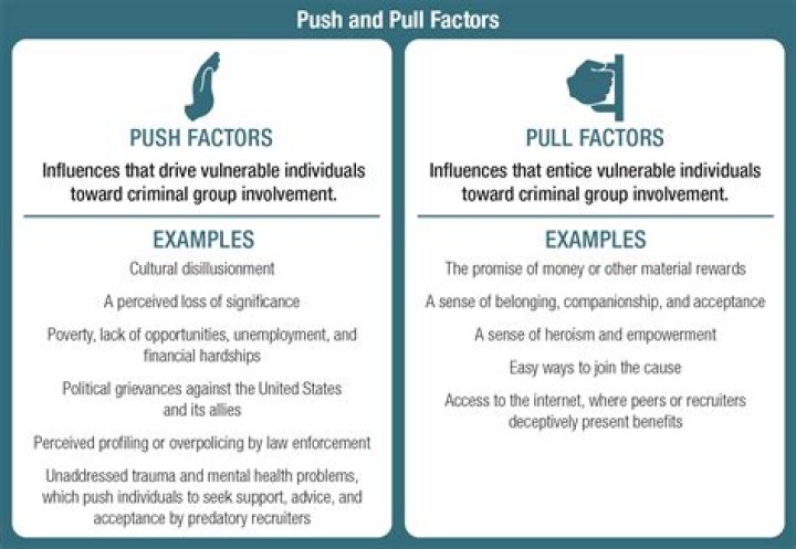 what does push pull factors mean