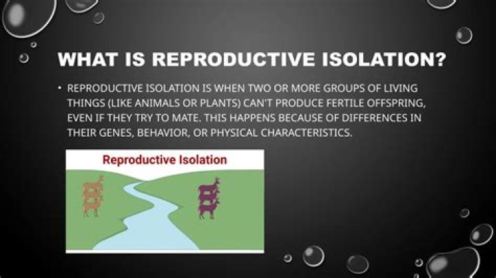 what does reproductive isolation within a species cause