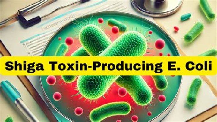 what does shiga toxin do