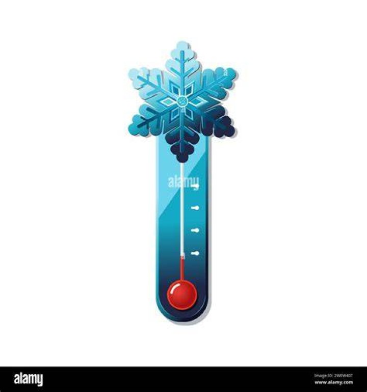 what does snowflake with thermometer mean