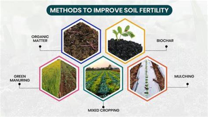 what does soil provide - Lisbd-net.com