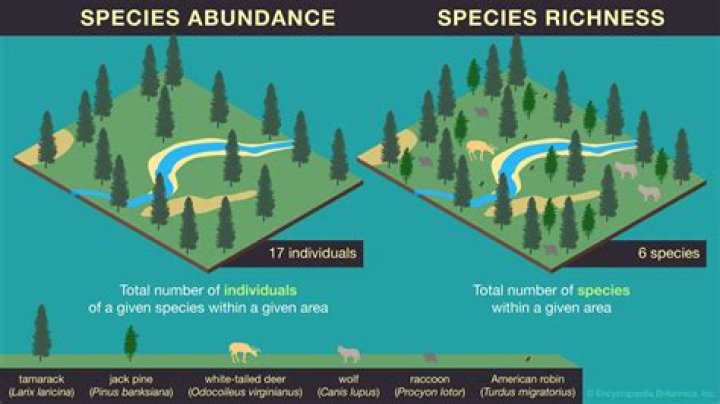 what does species richness refer to?